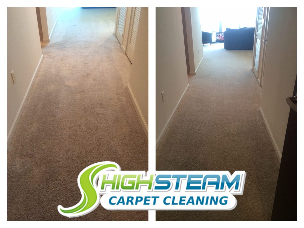 Carpet Stretching and Repair Tarpon Springs FL – Steam Boss Inc.