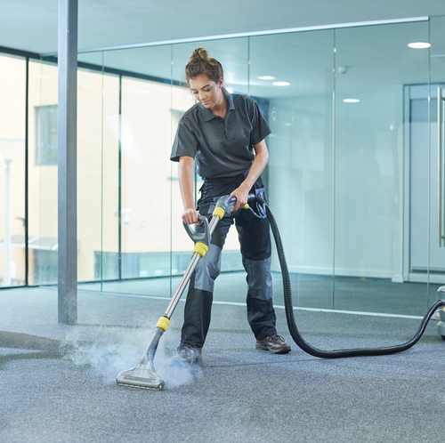 High Steam Carpet Cleaning Tampa Bay